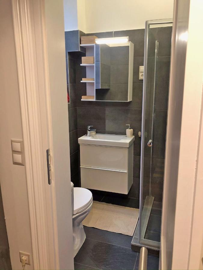 Modern Comfort In Historical Budapest Extérieur photo